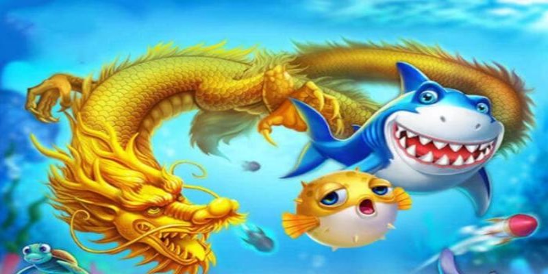 Nhà cái thiết kế đồ họa sống động